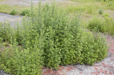 こんなお悩みありませんか？