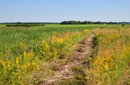 こんなお悩みありませんか？